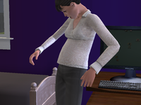 sims (73)