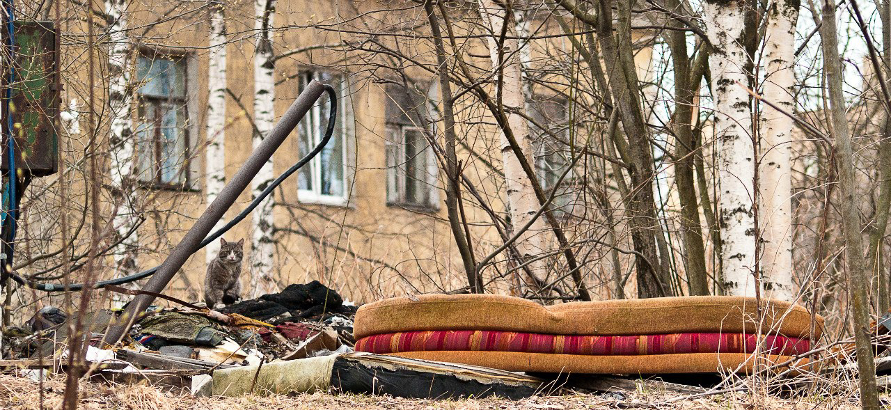 Зарецкие дворики-33