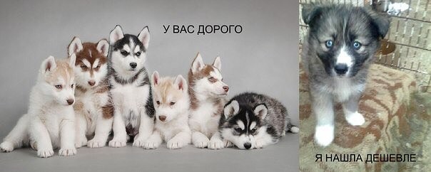 image (9)