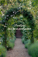 VFL.RU - ваш фотохостинг
