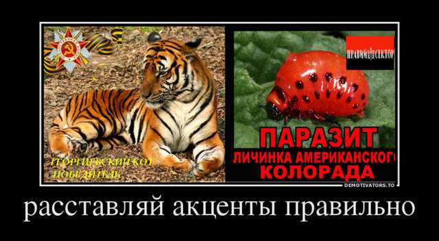 расставляй акценты правильно