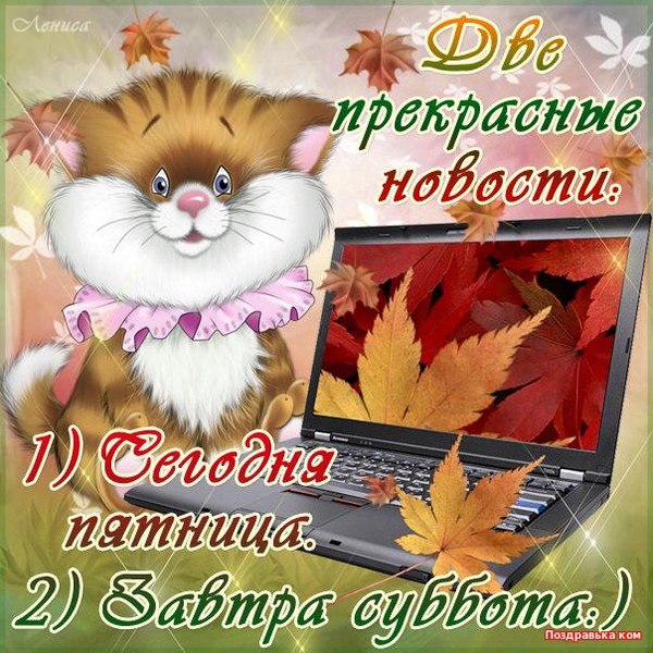 bSAmw 76w08