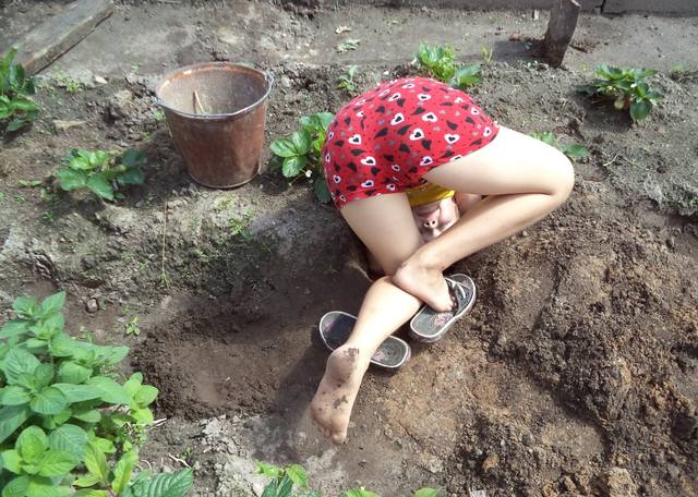 VFL.RU - ваш фотохостинг