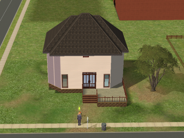 sims (134)