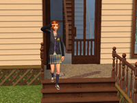 sims (153)