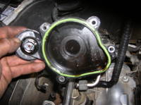 VFL.RU - ваш фотохостинг