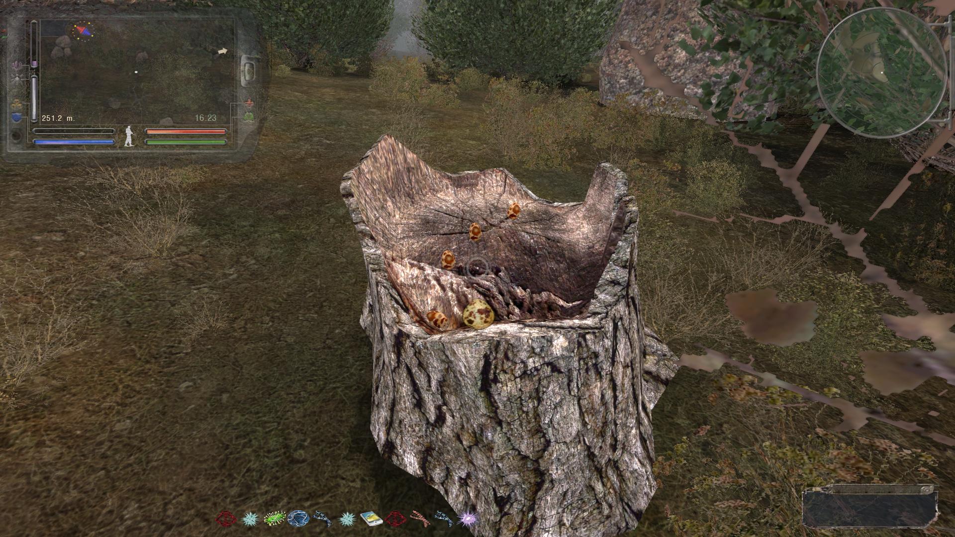 egg4