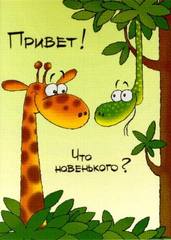 VFL.RU -  