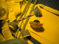 VFL.RU - ваш фотохостинг