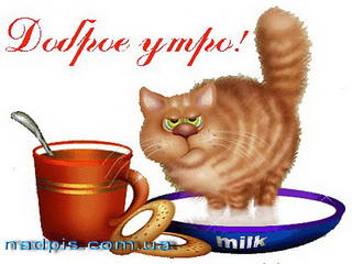 VFL.RU -  
