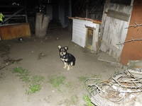 VFL.RU - ваш фотохостинг