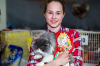 VFL.RU - ваш фотохостинг