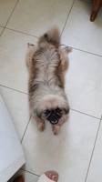 imageDVSJLMV3