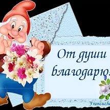 благодарю 3