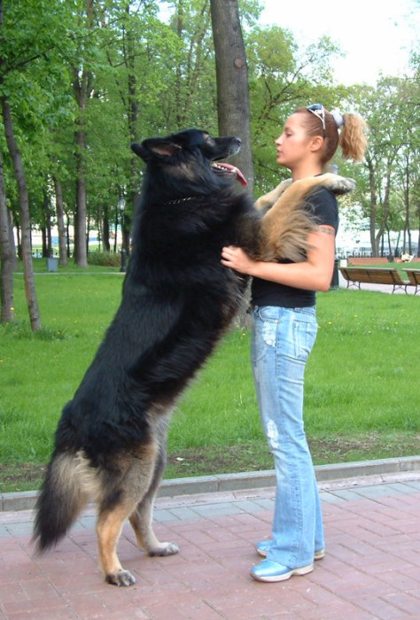 Ричи и Катя