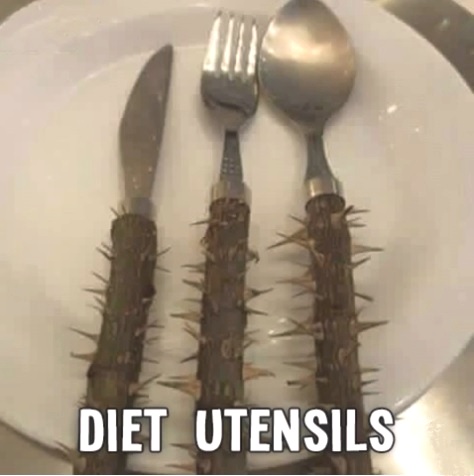 diet utensils
