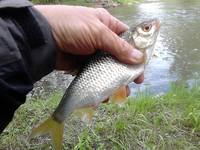 VFL.RU - ваш фотохостинг