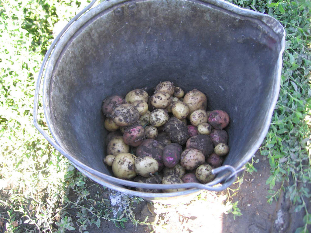 image (1)