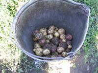 image (1)