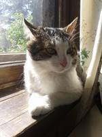 VFL.RU - ваш фотохостинг