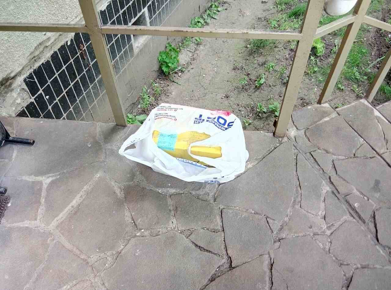 cat2