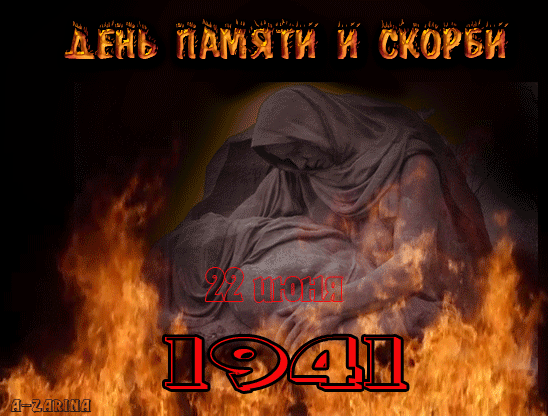 17664061.gif