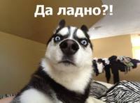 VFL.RU - ваш фотохостинг