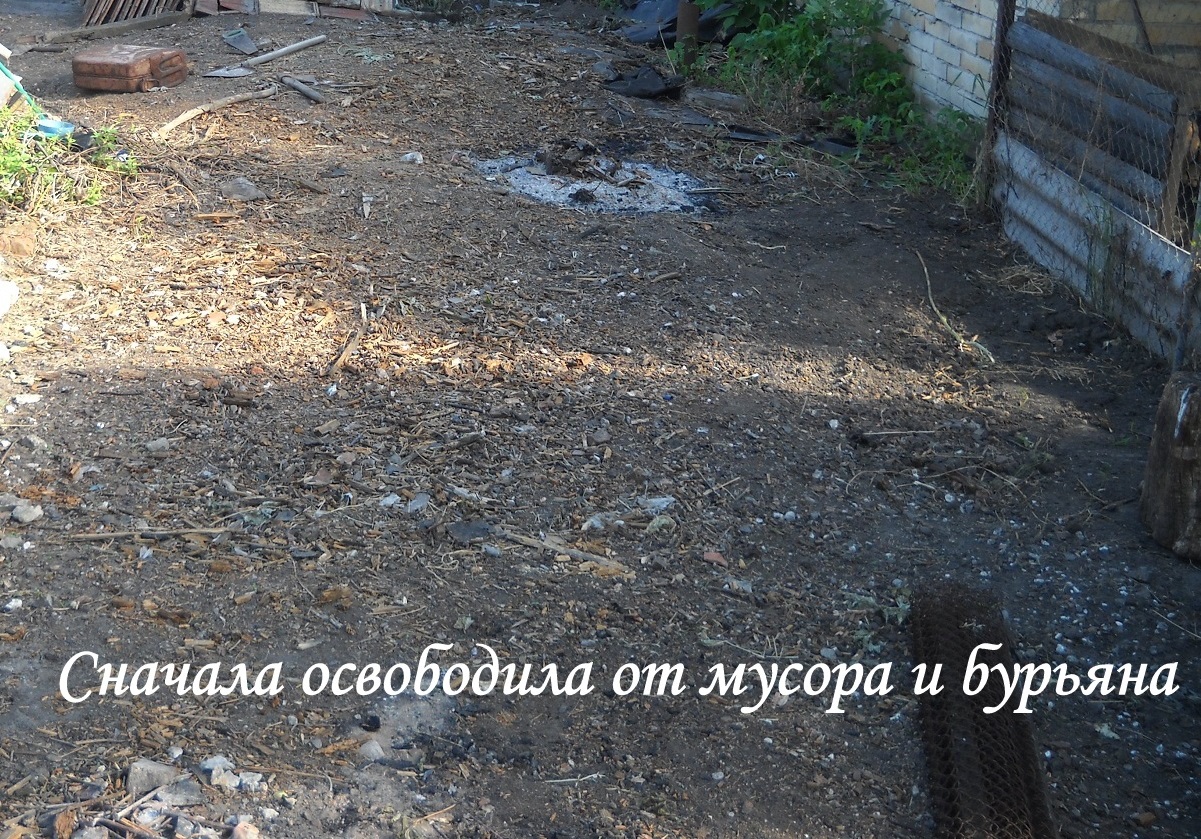 DSCN1999 - копия