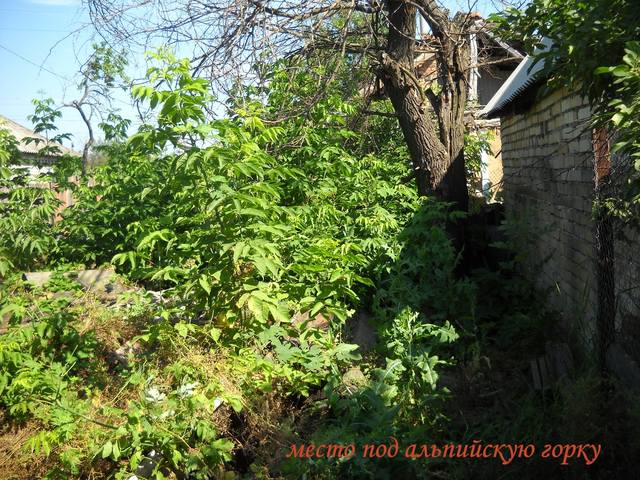 DSCN1910 - копия