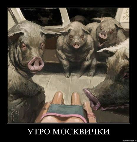 VFL.RU - ваш фотохостинг