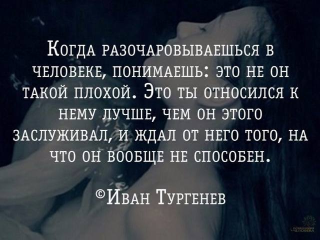 image (29)