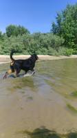 image (5р)