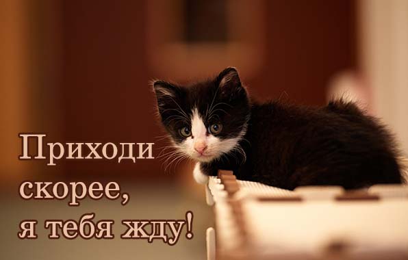 images 773
