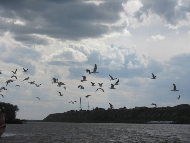 VFL.RU - ваш фотохостинг