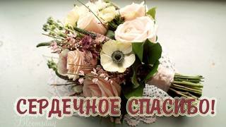 Спасибо1