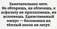 Замечательное лето...