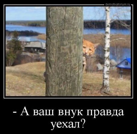 Vnuk uexal
