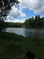 VFL.RU - ваш фотохостинг
