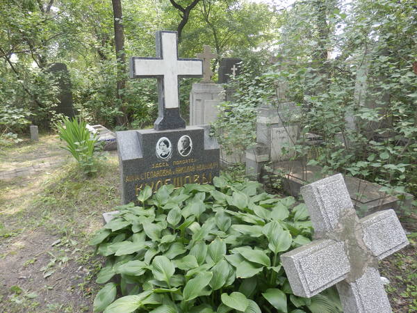 17925334_m.jpg