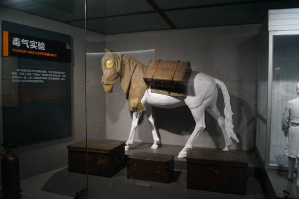 18002259_m.jpg
