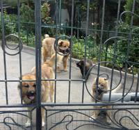 VFL.RU - ваш фотохостинг