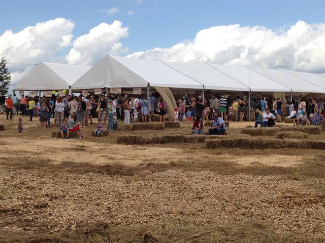 VFL.RU - ваш фотохостинг