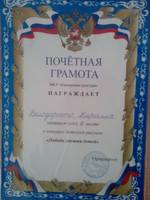 VFL.RU - ваш фотохостинг