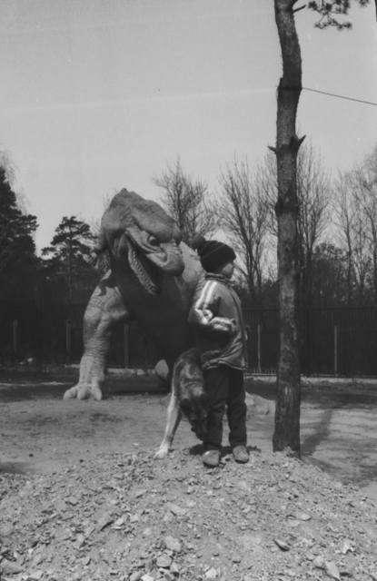 VFL.RU - ваш фотохостинг