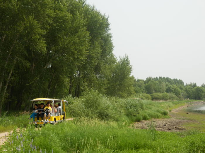 18203774_m.jpg