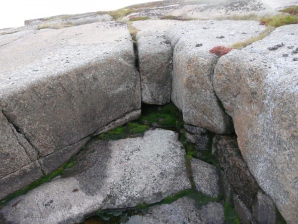 image003