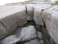 image003