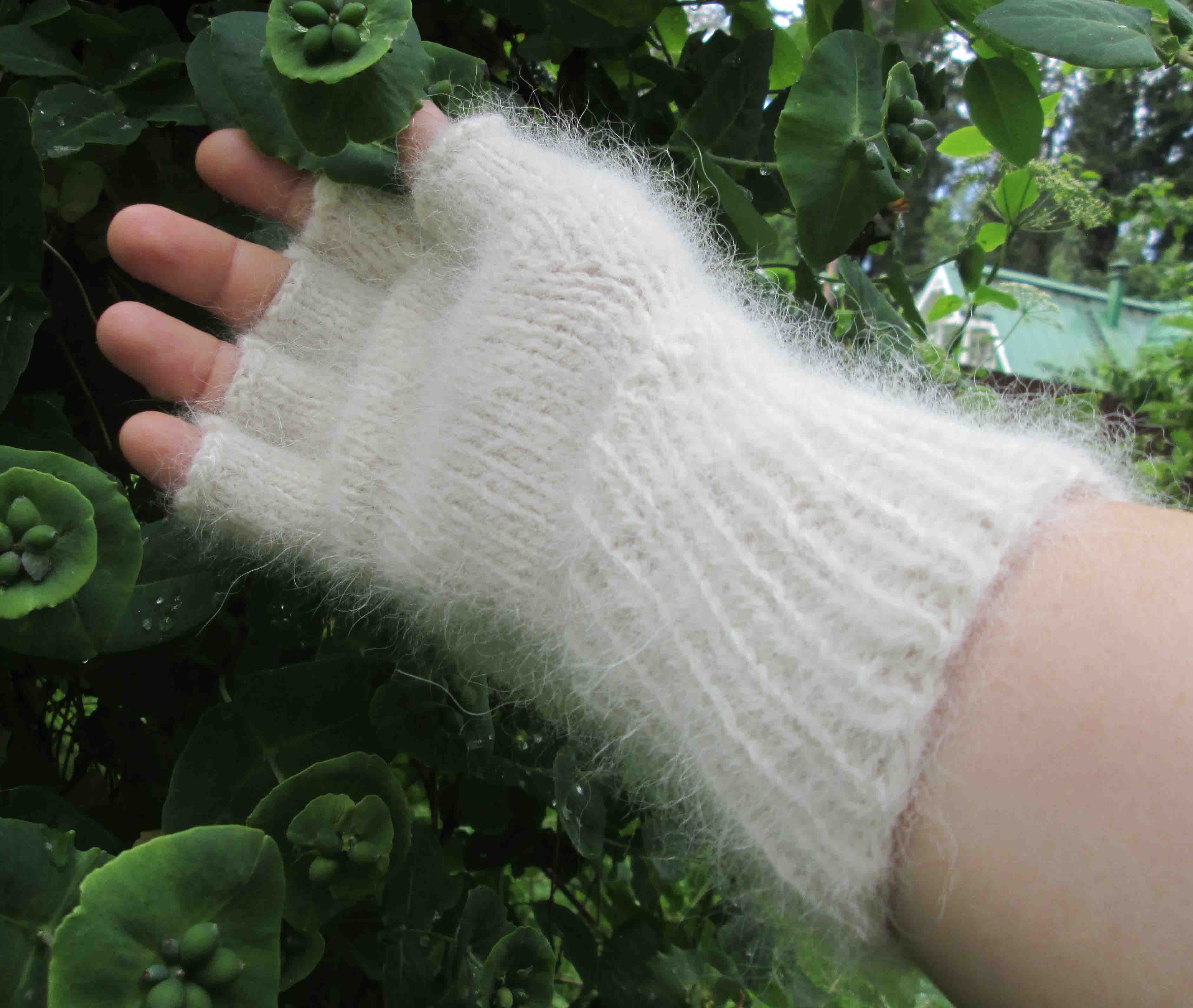 митенки из собачьей шерсти