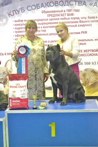 Алиса 2017 года...5августа 186