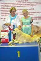 Алиса 2017 года...5августа 207